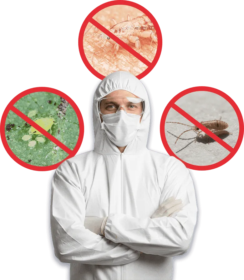 disinfestatore con tre simboli di divieto con immagini di pidocchi all'interno