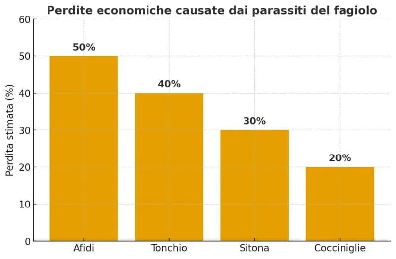 grafico perdite economiche dovute ai parassiti dei fagioli