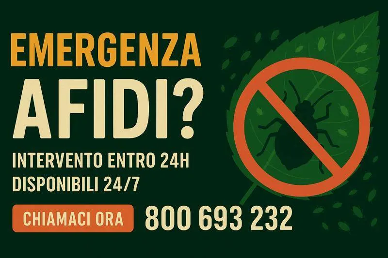 immagine evidenza emergenza afidi