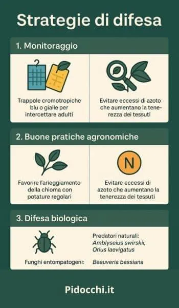 infografica difesa da tripidi agrumi