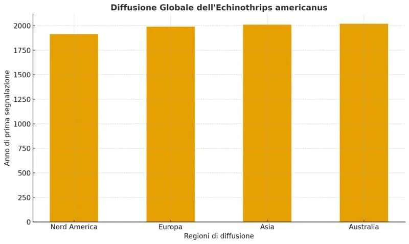 infografica diffusione Echinothrips americanus