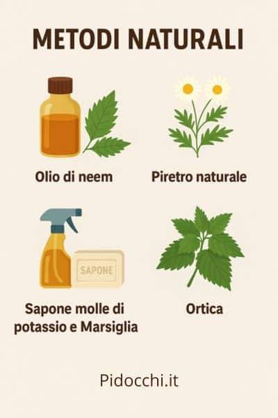 infografica trattamento afidi e metodi naturali per debellare gli afidi