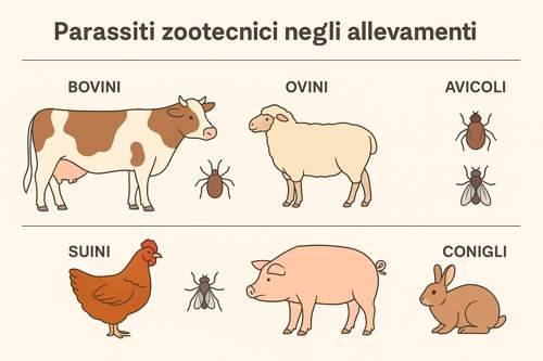 parassiti negli allevamenti infografica